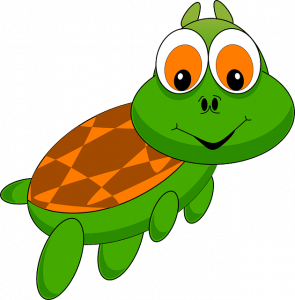 Flying Tortoises IELTS Reading Passage With Answers Image by OpenClipart-Vectors from Pixabay